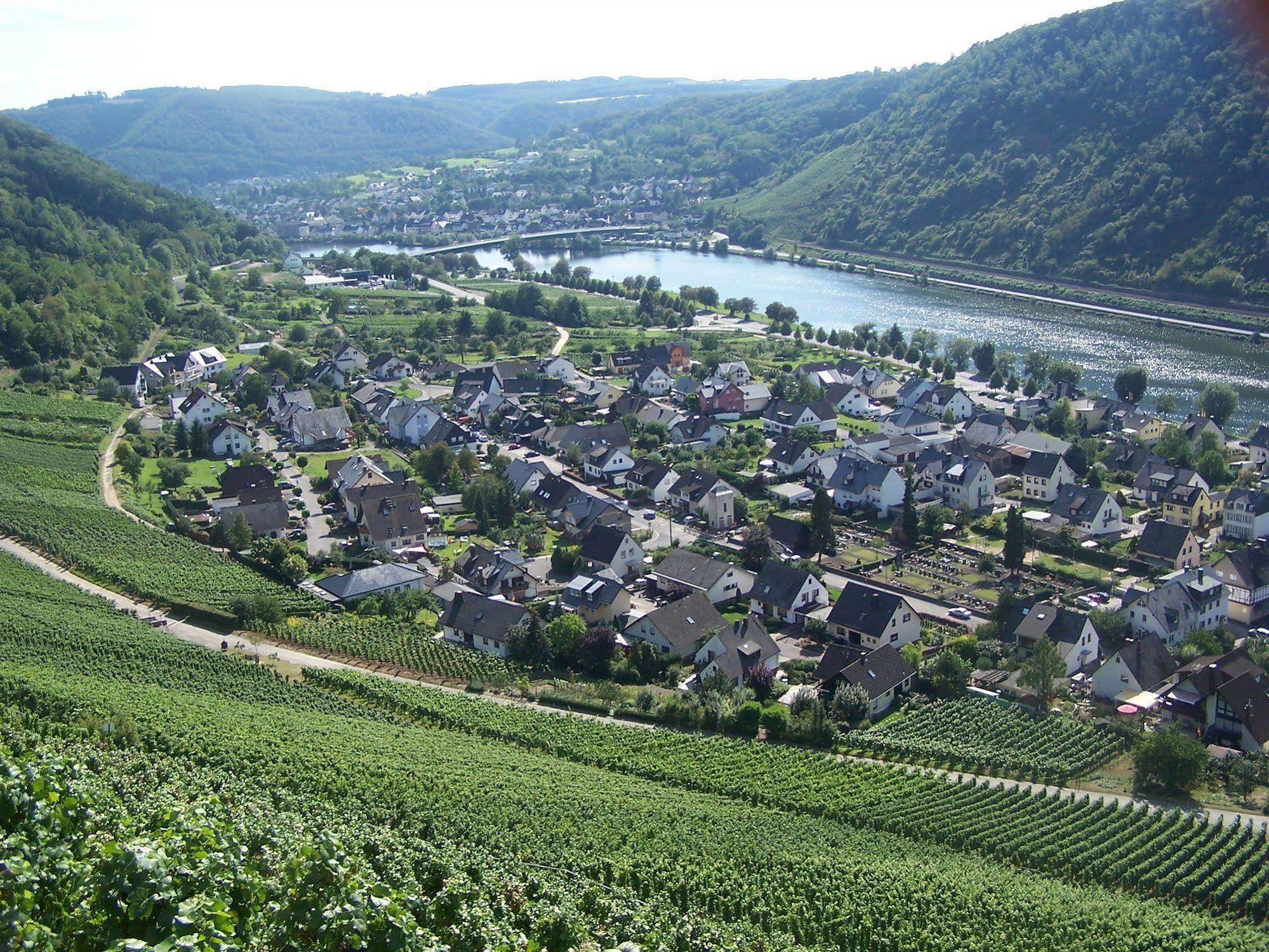Ferienwohnung In Alken / Mosel Eksteriør bilde