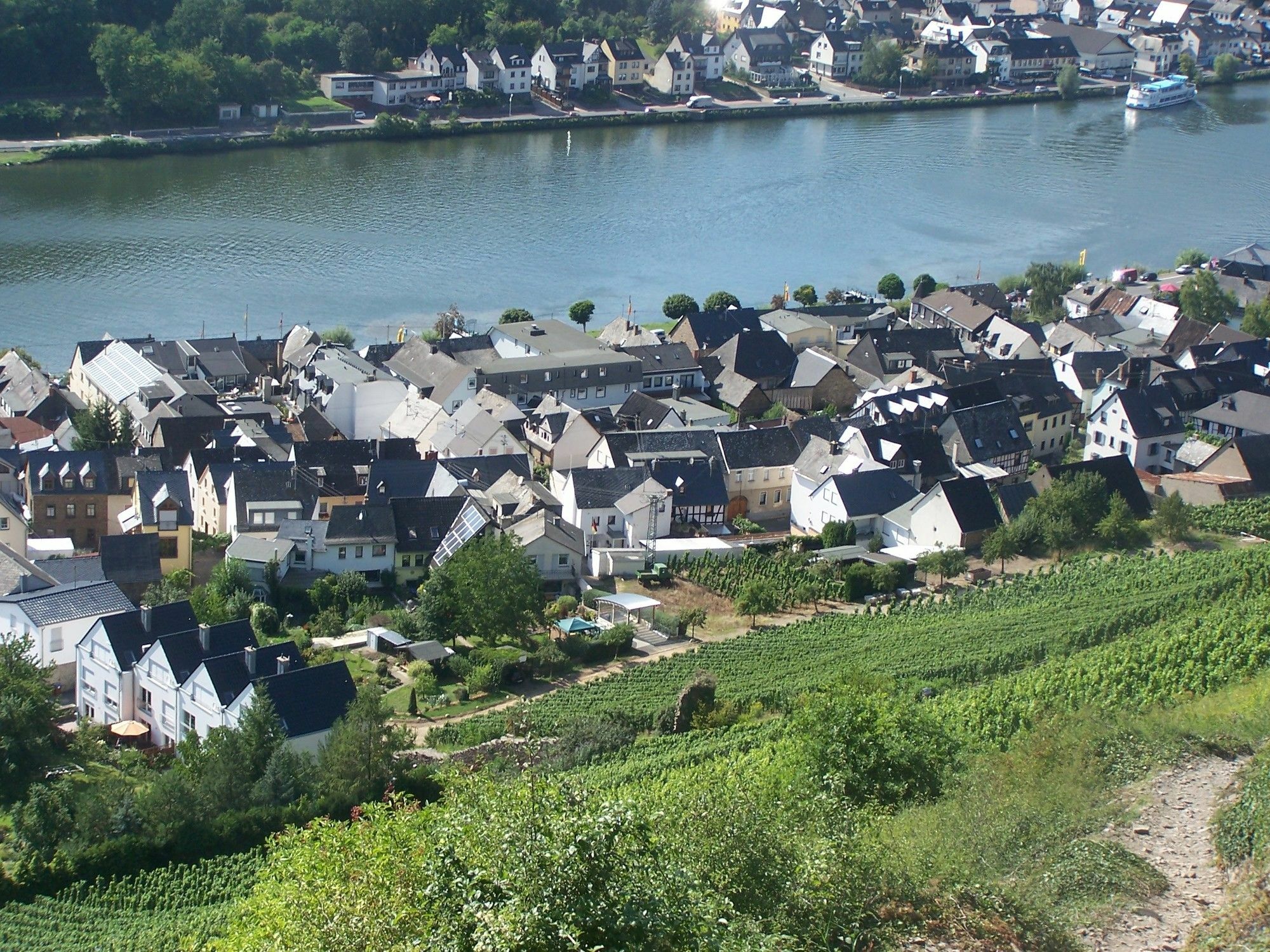 Ferienwohnung In Alken / Mosel Eksteriør bilde